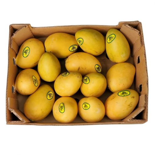 Ataulfo Mangos Best Quality Fresh Mangoes Small Size 18pcs