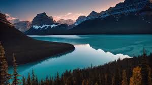 nature photo